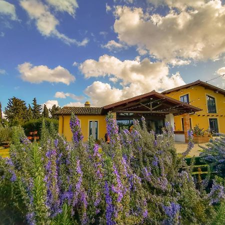 Country House Erba Regina フラスカティ エクステリア 写真