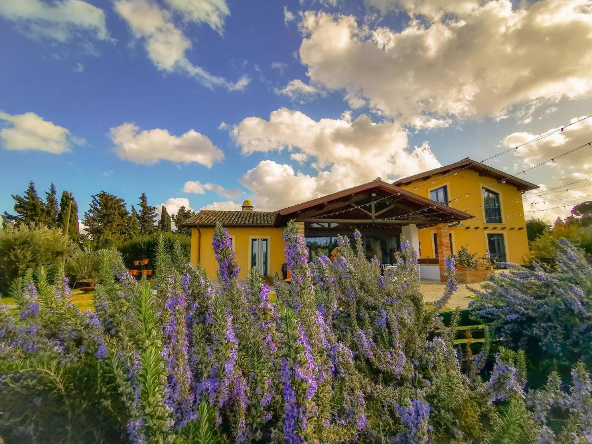 Country House Erba Regina フラスカティ エクステリア 写真
