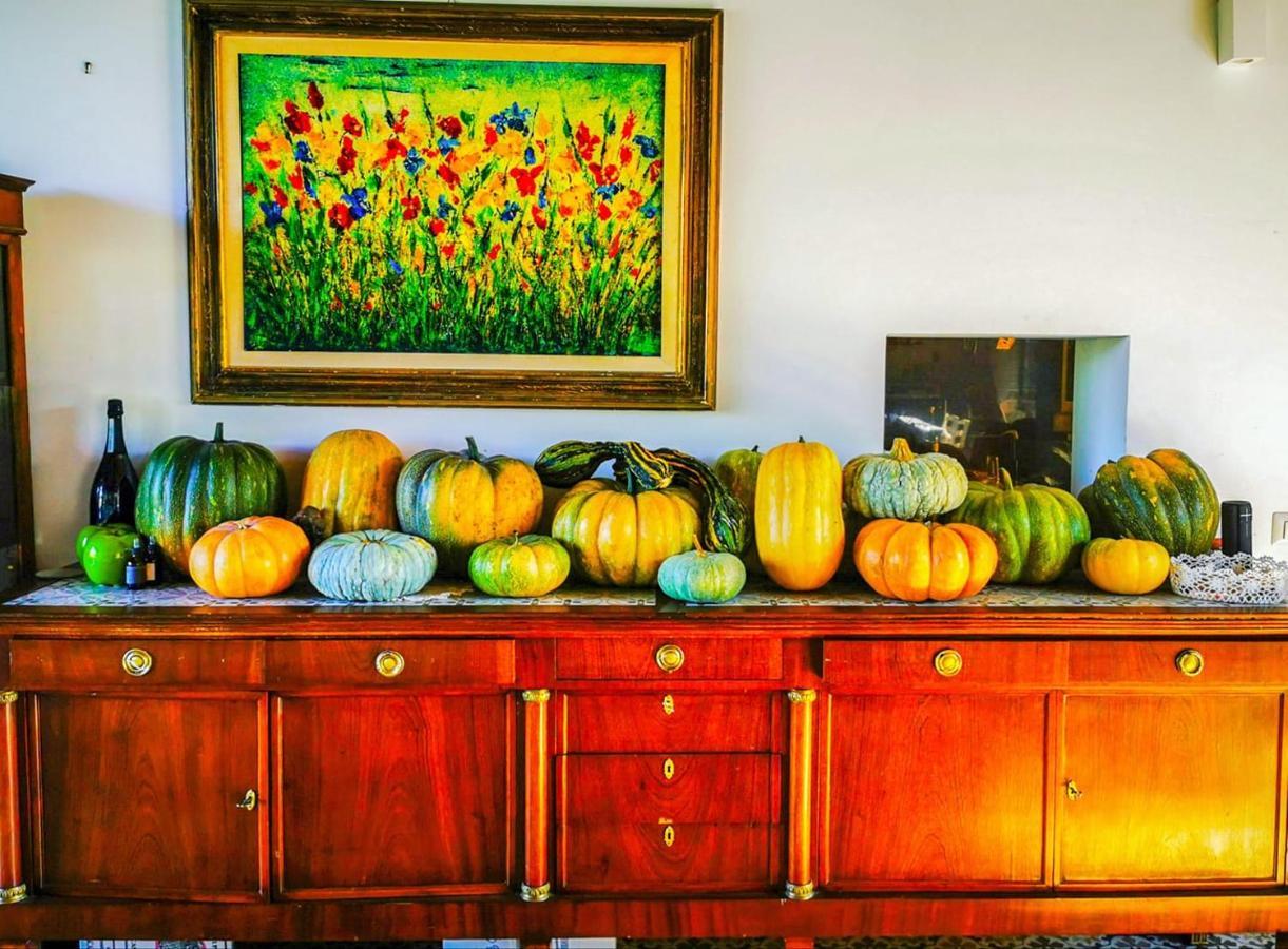 Country House Erba Regina フラスカティ エクステリア 写真