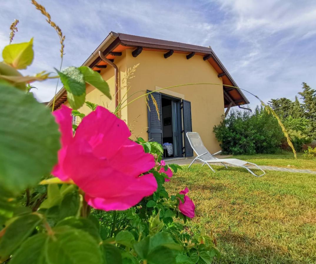 Country House Erba Regina フラスカティ エクステリア 写真