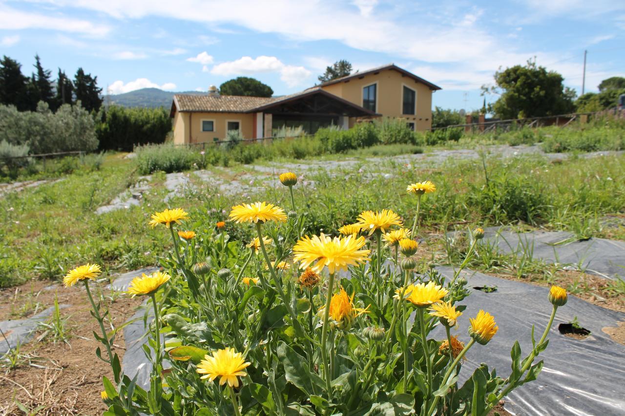 Country House Erba Regina フラスカティ エクステリア 写真