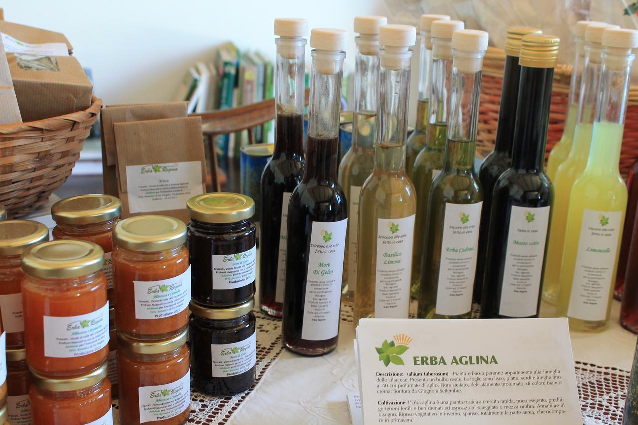 Country House Erba Regina フラスカティ エクステリア 写真